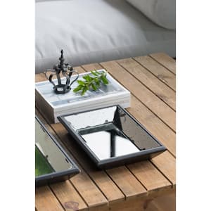13 in. H x 9 in. W Clear Glass Roberto Tray