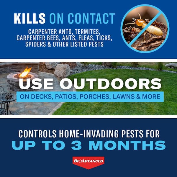 1 Gal. Concentrate Carpenter Ant and Termite Killer Plus