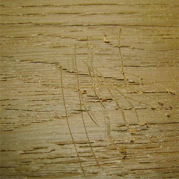 NewTechWood DeScratch Composite Decking Repair Kit in Peruvian Teak