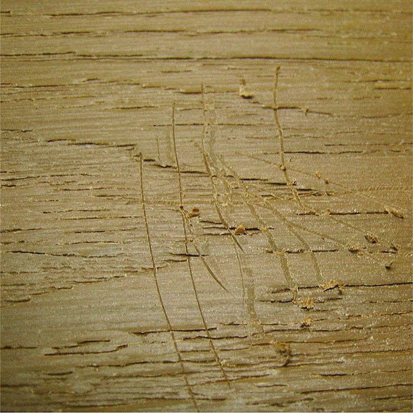 NewTechWood DeScratch Composite Decking Repair Kit in Spanish Walnut