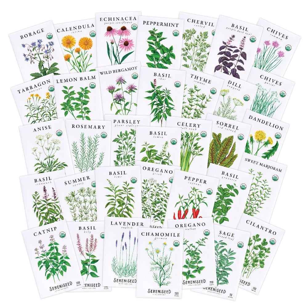Certified Organic Herb Seeds (35-Pack) price history on PriceWatchPro