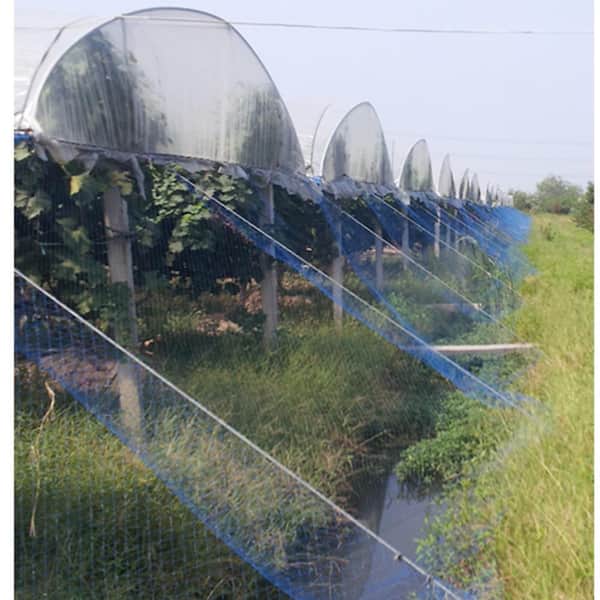 Agfabric 7.5ft x 177ft Blue Bird Netting for Garden Protect