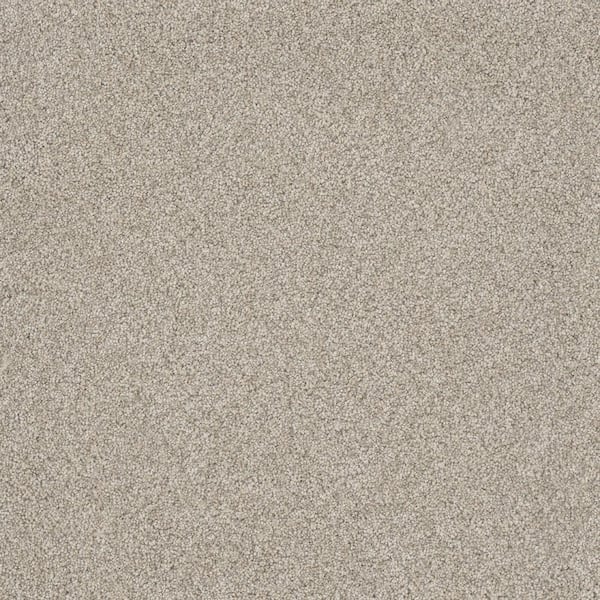 Lifeproof Misty Meadows II- Sinclair Gray - 60 oz. SD Polyester Texture Installed Carpet