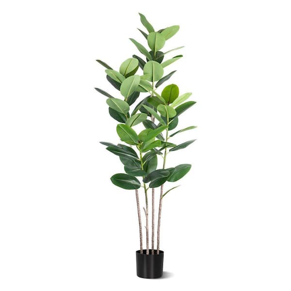 goldon pothos Golden Pothos Totem | Easy, Beginner-Friendly Houseplants main image 1
