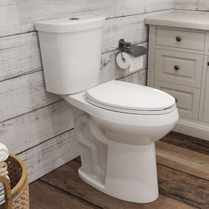 1.1/1.6 GPF Dual Flush Elongated 21 in. Heightened Toilet Map Flush 1000g Soft-Close Seat Included 2-Piece