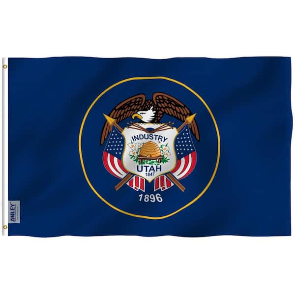 Deluxe 2-Sided Flag 3x5 - Blue w/ Combined Logo 