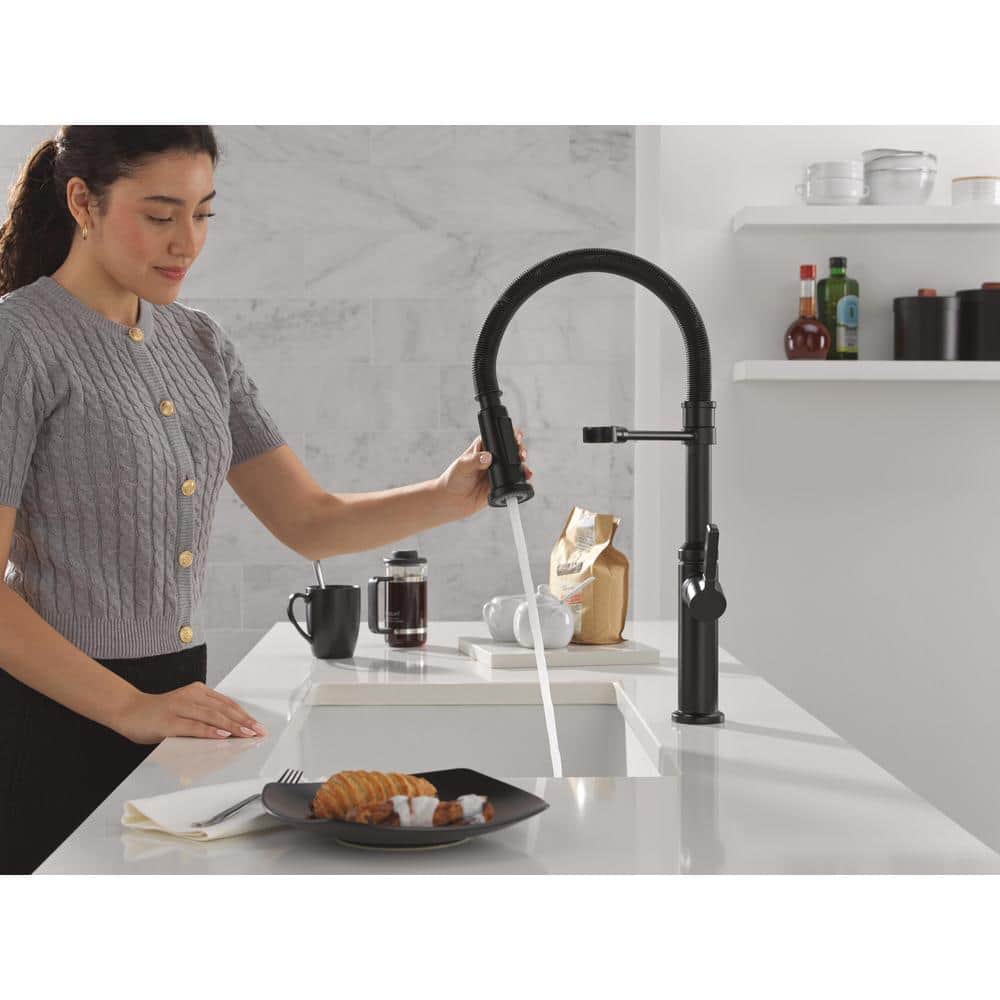 Matte Black Commercial Style Kitchen Faucet with Pull Down Sprayer