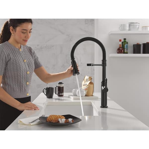 Rhett Pro Single Handle Pull Down Sprayer Kitchen Faucet with Spring Spout in Matte Black