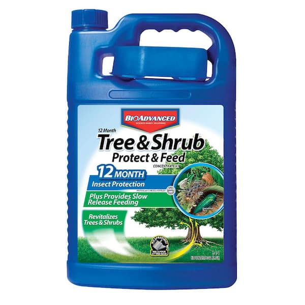 BioAdvanced 1 Gal. Concentrate Tree/Shrub Protect and Feed