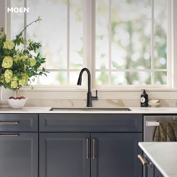 Riley Single Handle Pull-Down Sprayer Kitchen Faucet with Reflex and Power Clean in Matte Black