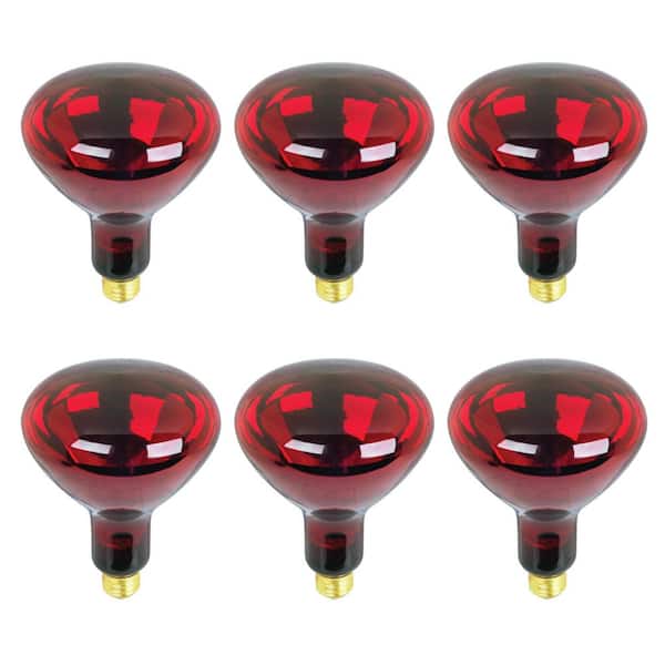 250-Watt BR40 Red Reflector E26 Heat Lamp Dimmable 120-Volt Infrared Incandescent Light Bulb (6-Pack)