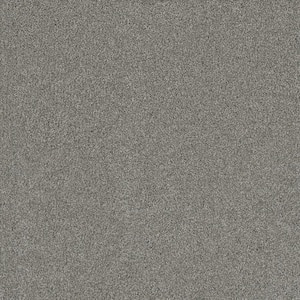 Misty Meadows III- Clearmont Gray - 75 oz. SD Polyester Texture Installed Carpet