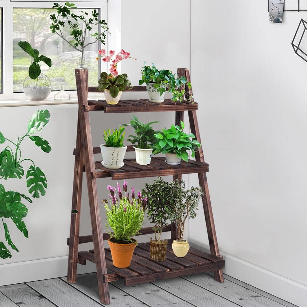 brown-angeles-home-plant-