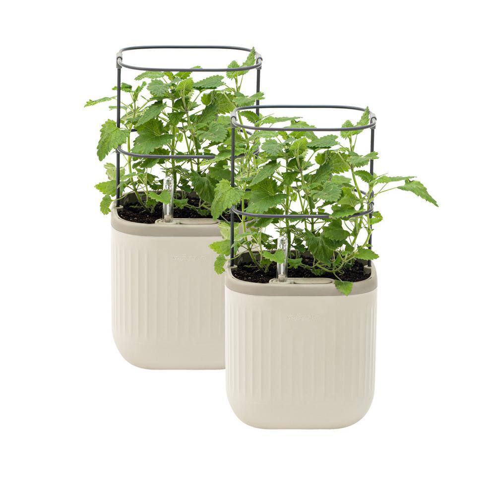Cream White Self-Watering Mini Planter Pots with Trellis, 2 Pack