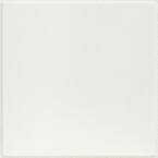 2 ft. x 2 ft. Mars White Shadowline Tapered Edge Lay-In Ceiling Tile, case of 12 (48 sq. ft.)