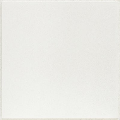 2 ft. x 2 ft. Mars White Shadowline Tapered Edge Lay-In Ceiling Tile, pallet of 240 (960 sq. ft.)