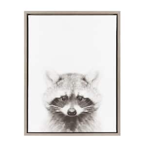 24 in. x 18 in. "Raccoon" by Tai Prints Framed Canvas Wall Art