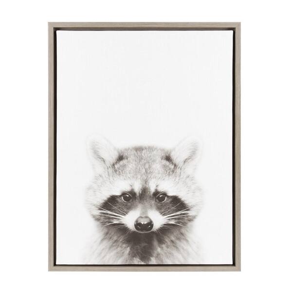 Kate and Laurel 24 in. x 18 in. "Raccoon" by Tai Prints Framed Canvas Wall Art
