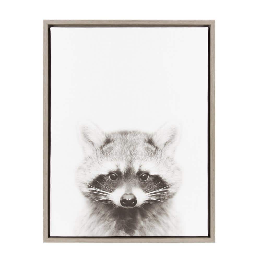 "24 in. x 18 in. ""Raccoon"" by Tai Prints Framed Canvas Wall Art" price history on PriceWatchPro