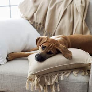 Linen Boudoir / Throw Pillow Cover