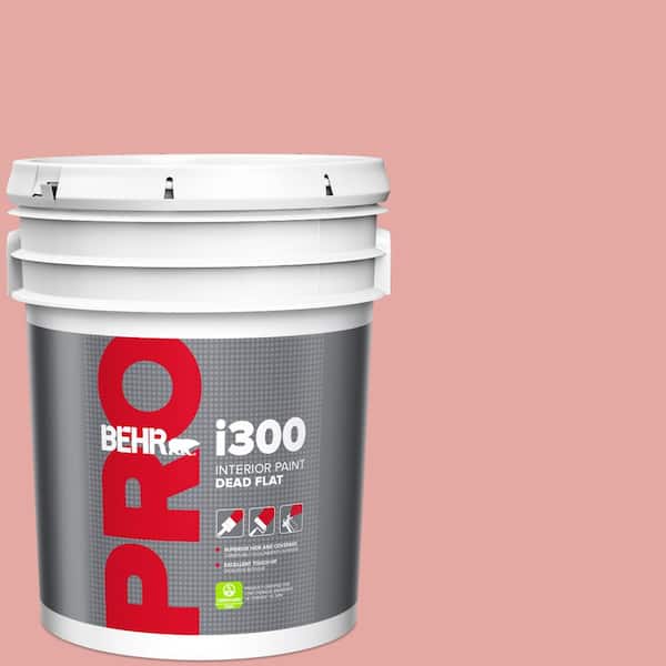 BEHR PRO 5 gal. #MQ4-03 Coral Fountain Dead Flat Interior Paint