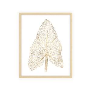 White and Gold Nature Collection Framed Nature Art Print 42 in. x 34 in.
