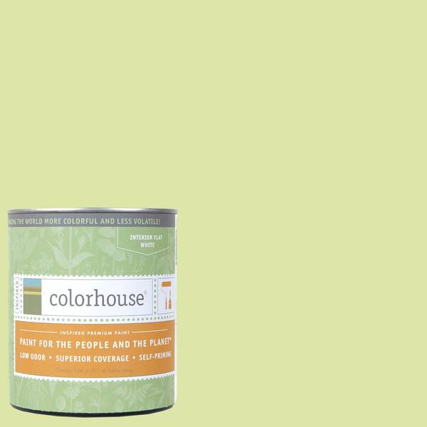 Colorhouse 1 qt. Leaf .07 Flat Interior Paint