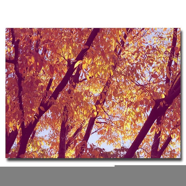 Trademark Fine Art 22 in. x 32 in. Trees Canvas Art