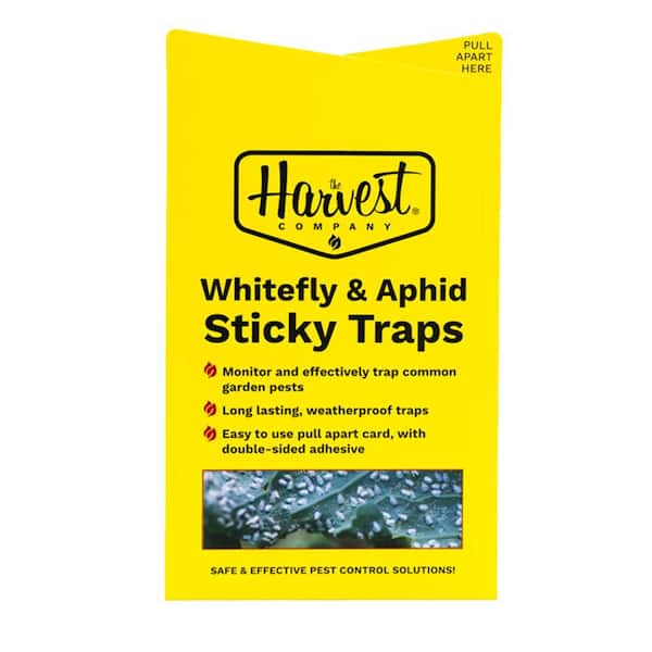 Yellow Sticky Bug Traps for White Fly, Aphids, Fungus Gnats / Pull Apart Double-Sided Adhesive (15-Pack)