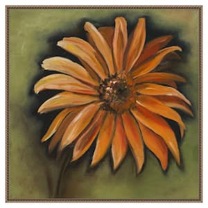 "Daisy Collections III" by Nelly Arenas 1-Piece Floater Frame Giclee Nature Canvas Art Print 30 in. x 30 in.
