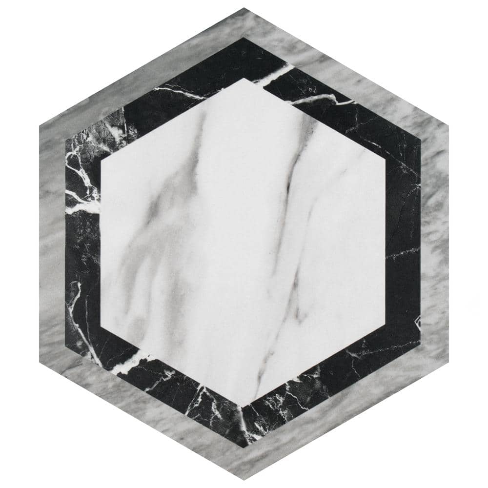 BioTech Hex Bardiglio Agra 11-1/4 in. x 13 in. Porcelain Floor and Wall Take Home Tile Sample price history on PriceWatchPro