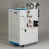 Slant/Fin Galaxy Natural Gas Steam Boiler with 120,000 BTU Input 73,000 ...