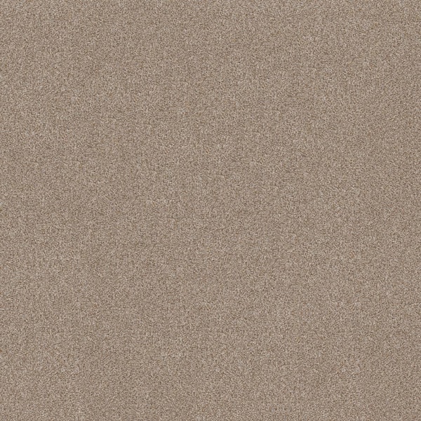 Columbus II - Teddy Bear - Brown 74.9 oz. SD Polyester Texture Installed Carpet