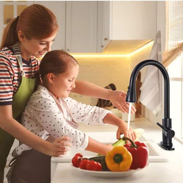 Gooseneck Single Handle Sprayer Kitchen Bar Faucet Commercial Kitchen Sink Faucets for RV, Laundry in Matte Black