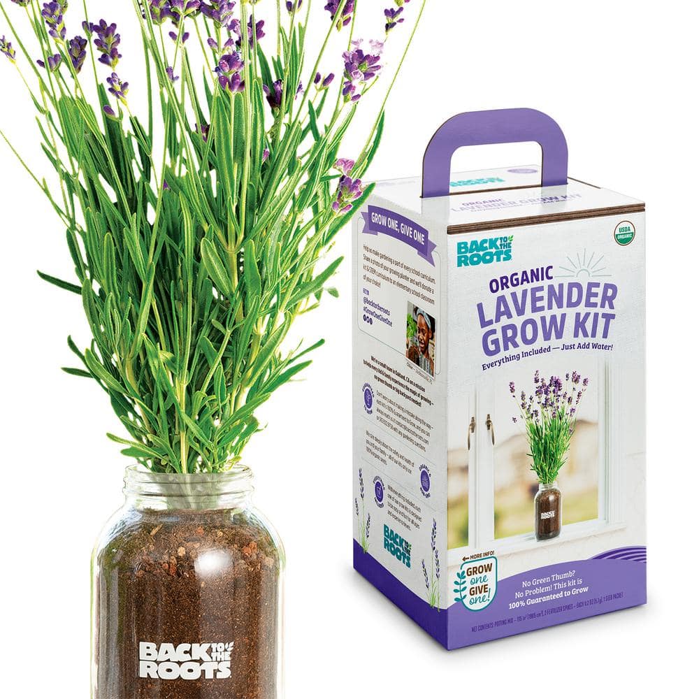 Back to the Roots - Organic Lavender Windowsill Planter Growing Kit - Everything Included - Grow In-Home Year Round - 100% Guaranteed to Grow