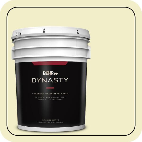 BEHR DYNASTY 5 gal. #400C-2 Home Song Matte Interior Stain-Blocking Paint & Primer