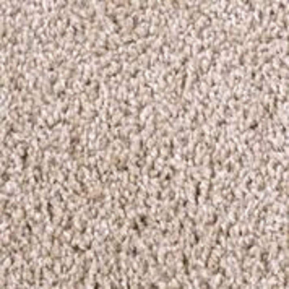 Trafficmaster Founder Ruler Beige 18 Oz Sd Polyester Texture Installed Carpet Hd084 113 1200 The