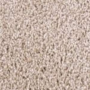 Founder - Ruler - Beige 18 oz. SD Polyester Texture Installed Carpet