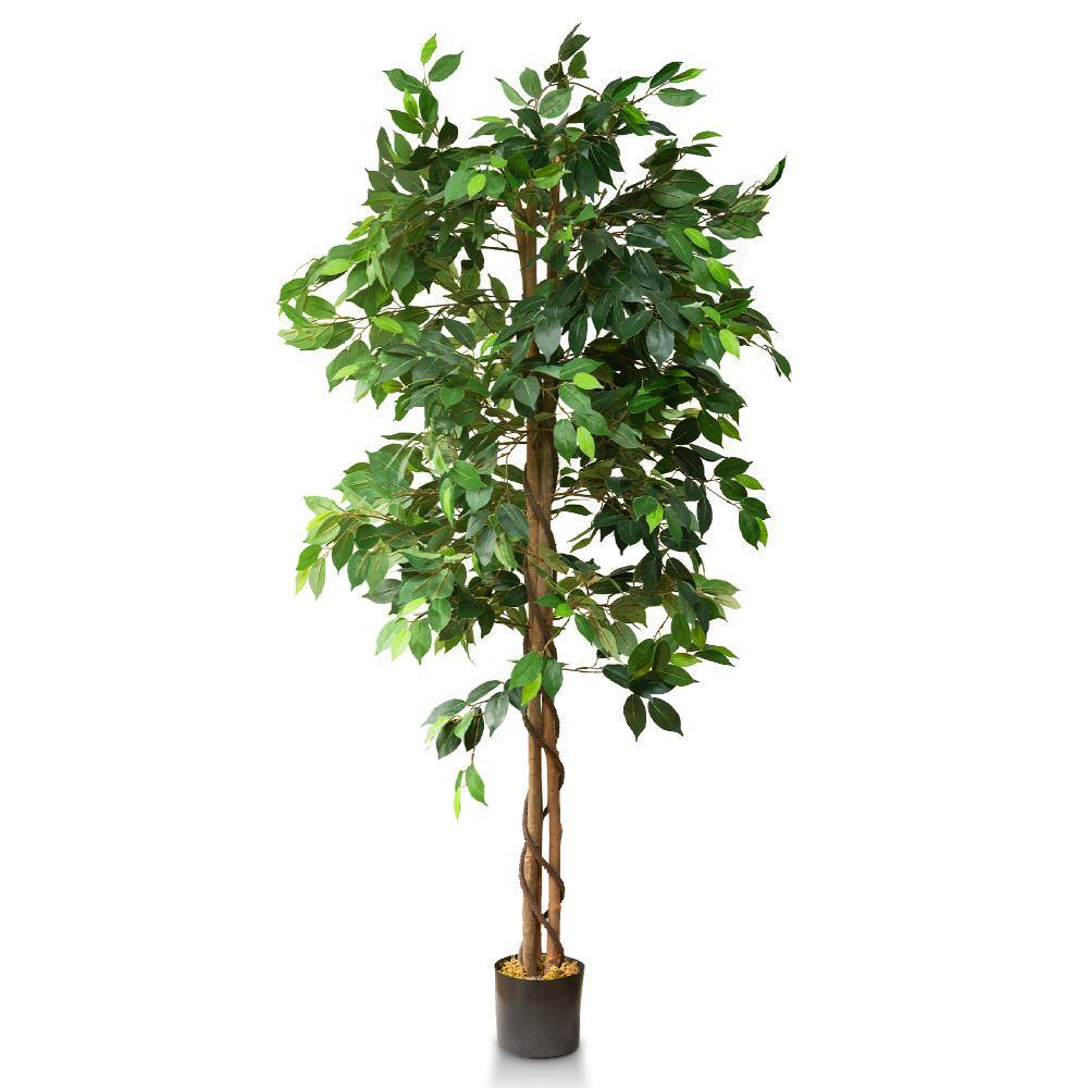 72" Tall Artificial Ficus Silk Tree in Black Pot