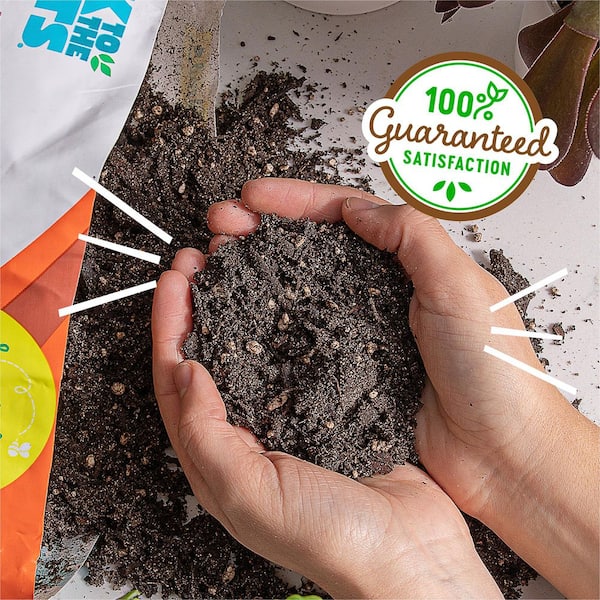 Back to the Roots 6-Quart Organic Succulent Mix Soil (8-pack