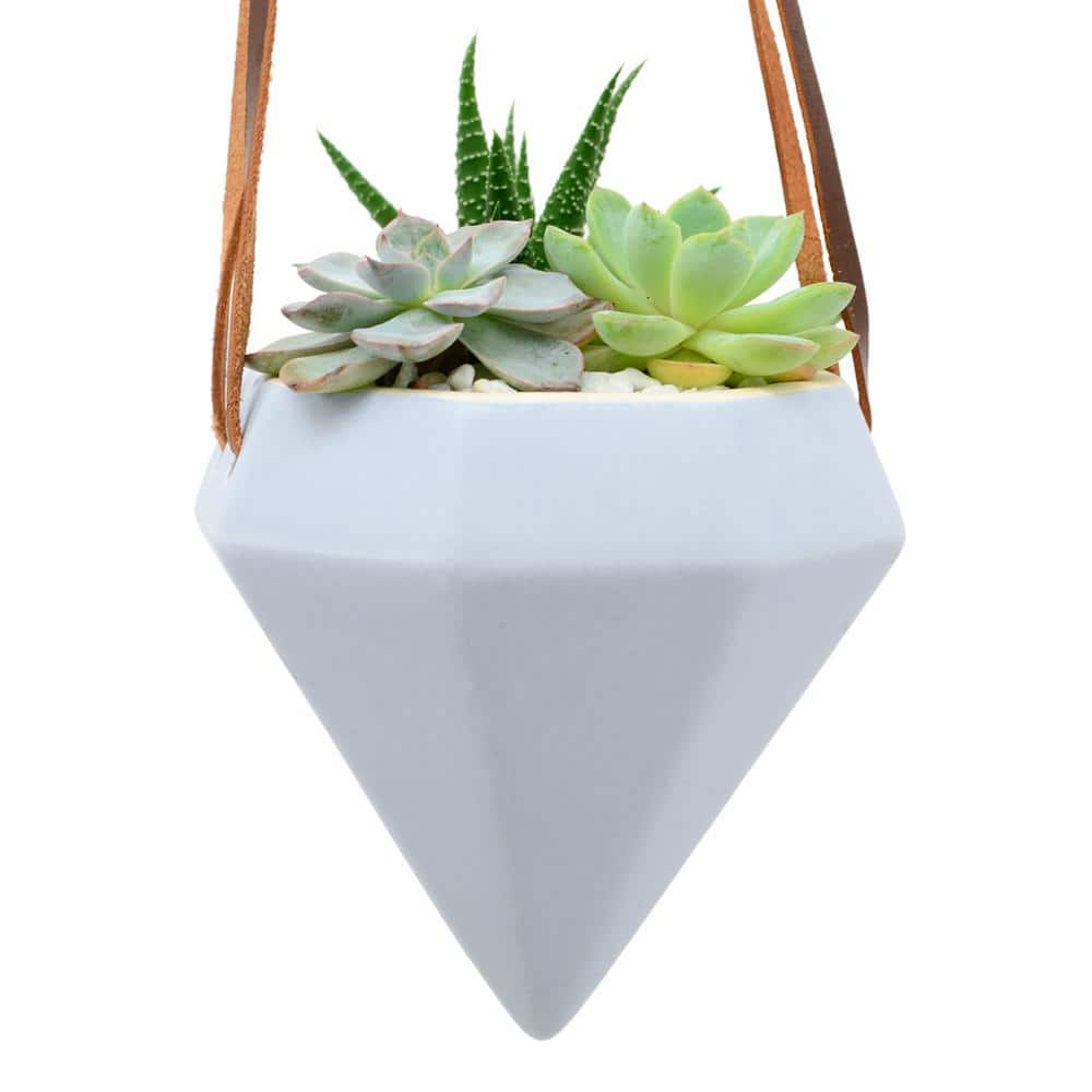 Sky Blue Ceramic Diamond Hanging Planter - Indoor/Outdoor