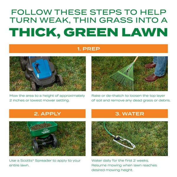 StaGreen Ready Fast 12lb Bermuda Grass Seed + Fertilizer | Covers 12,000 Sq Ft, Fast Germination In 11-15 Days