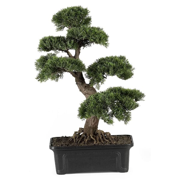 24 in. Artificial Cedar Bonsai Silk Plant
