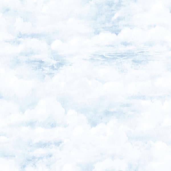 Unbranded Global Fusion Sky White and Blue Cloud Design