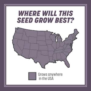 Annual Ryegrass 10 lb. 2,000 sq. ft. Grass Seed