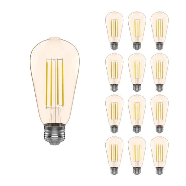 40-Watt Equivalent ST19 Decorative Bulb Amber Glass Filament Vintage Style Led Light Bulb Warm White (12-Pack)