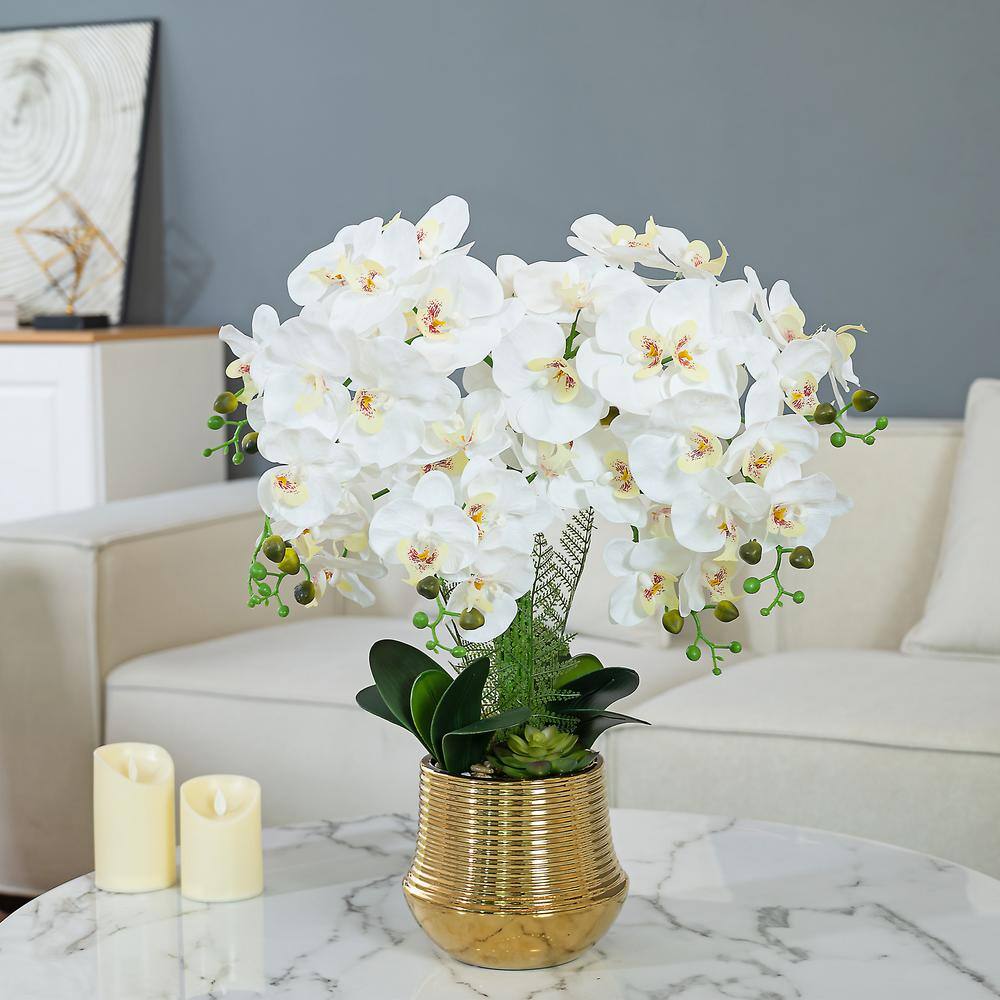 26.77" White Orchid Floral Arrangement in Gold-Plated Ceramic Vase