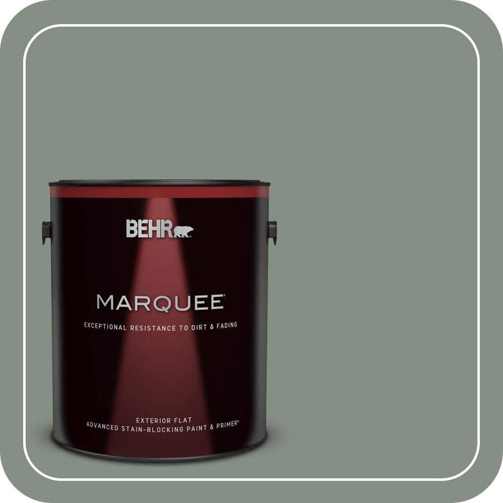 1 gal. #ECC-49-3 Forest Moss Flat Exterior Paint & Primer product image for price tracking