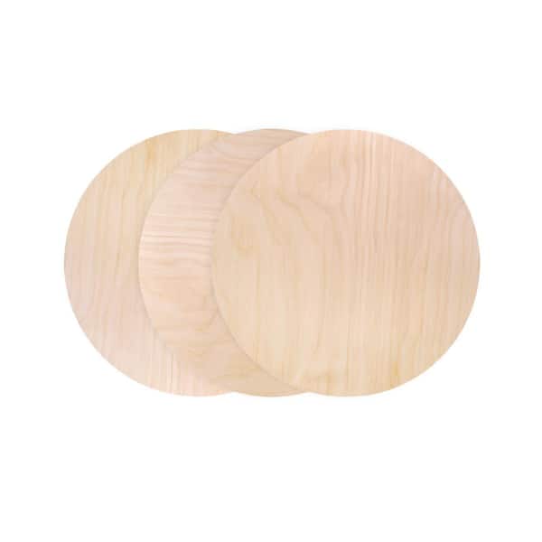 Walnut Hollow 1/4 in. x 1 ft. x 1 ft. Birch Plywood Circle Project Panel (3-Pack)