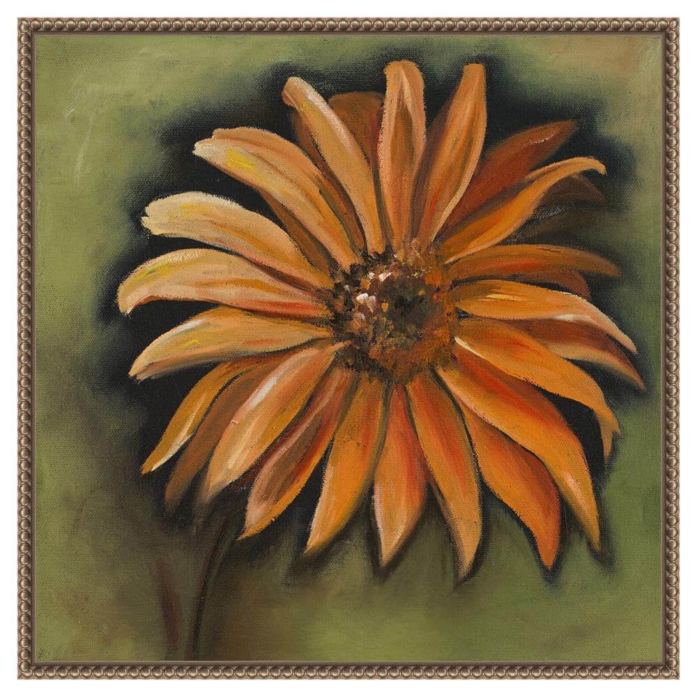 Daisy Collections III Bronze Framed Canvas Wall Art